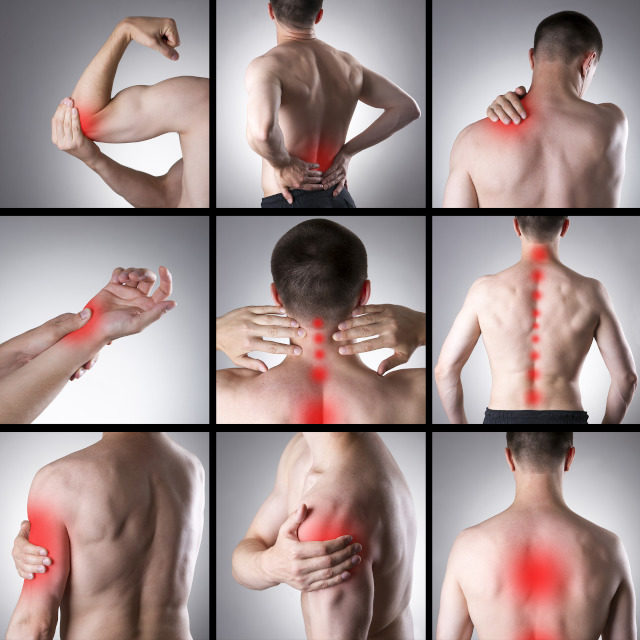 Pain & Physical Therapy
